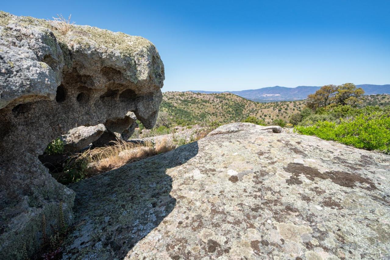 Agriturismo Testone Benetutti 外观 照片