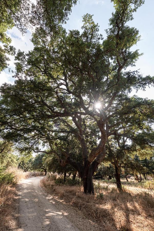 Agriturismo Testone Benetutti 外观 照片
