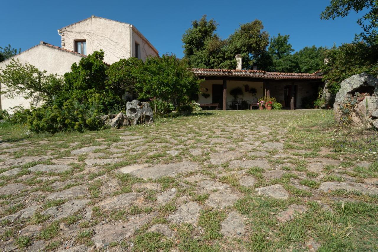 Agriturismo Testone Benetutti 外观 照片