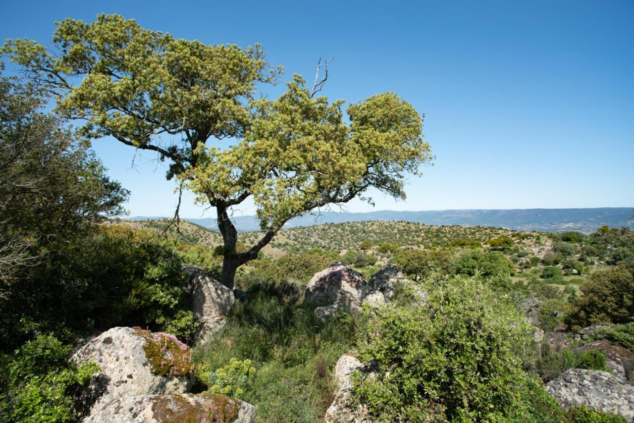 Agriturismo Testone Benetutti 外观 照片