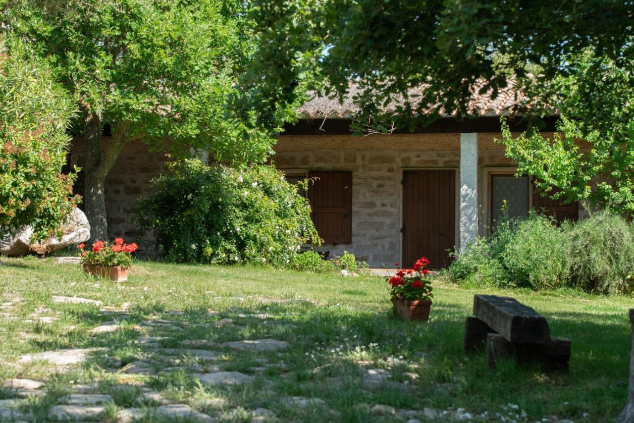 Agriturismo Testone Benetutti 外观 照片