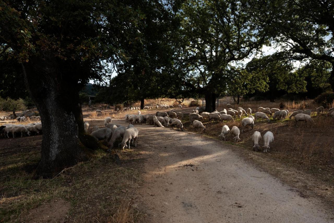 Agriturismo Testone Benetutti 外观 照片