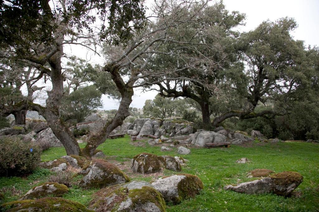 Agriturismo Testone Benetutti 外观 照片